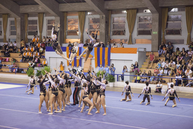 Festa da Seixalíada