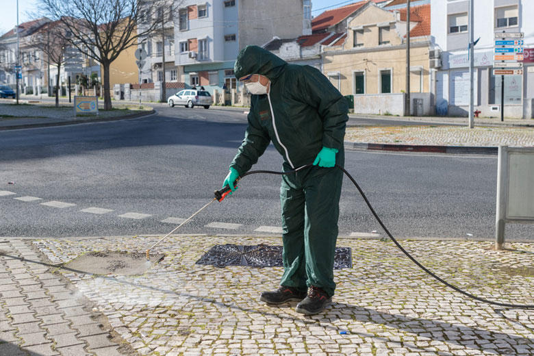 eliminação ervas daninhas