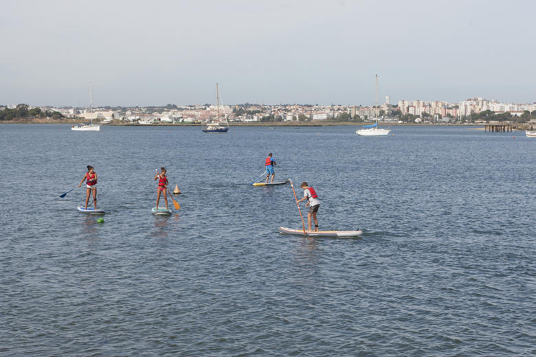 Stand-up paddle