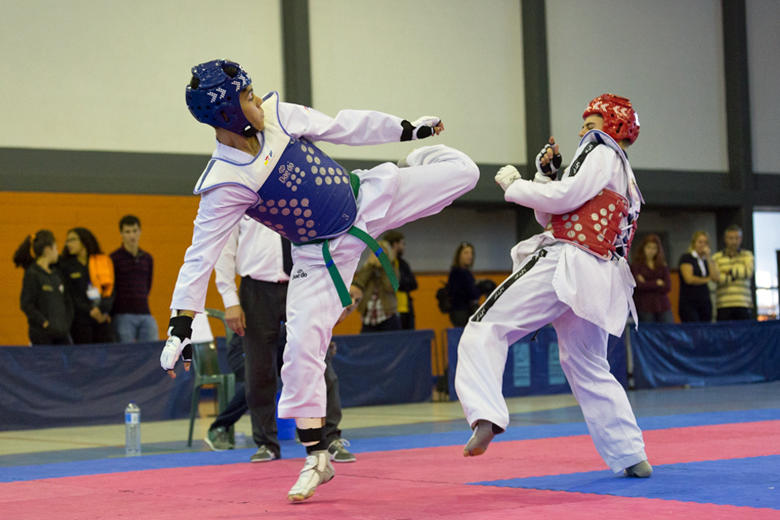 Taekwondo